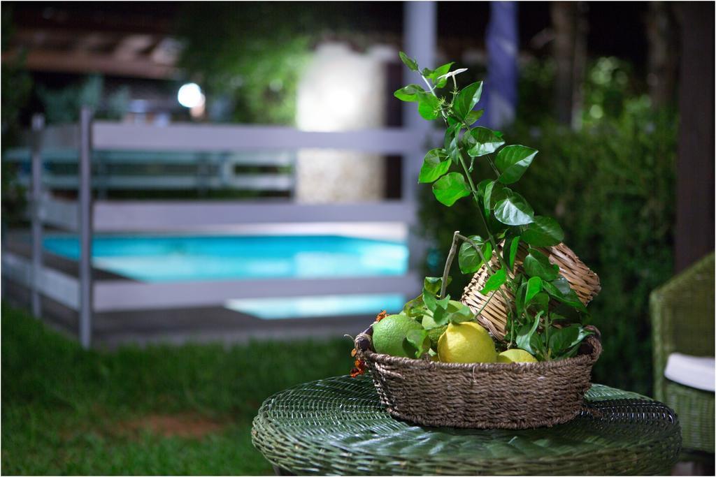Ai Parchi Dei Parrini Bed & Breakfast Partinico Room photo